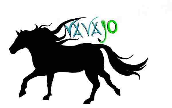 Logo Navajo